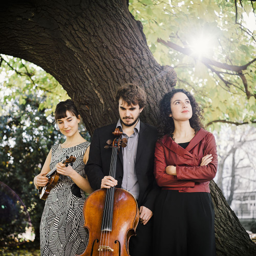 Trio Karénine